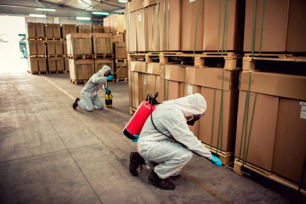 Best Exterminator Services  in Gregory, TX