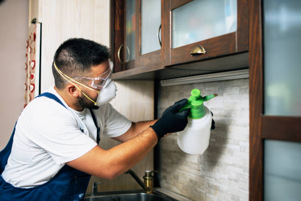 Flea Control Services in Gregory, TX